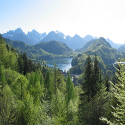 Neuschwanstein  Picture 103.jpg